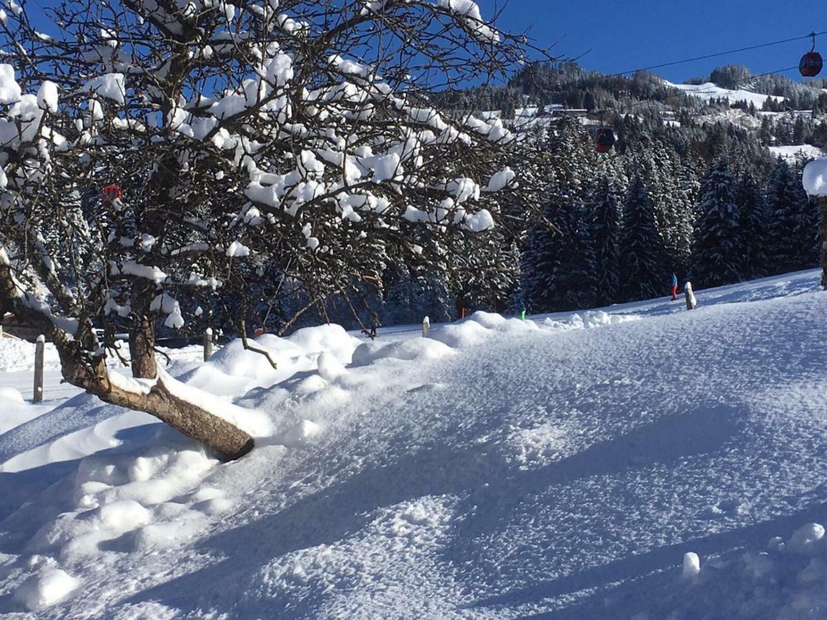 Beim Rohrer Lägenhet Kirchberg in Tirol Exteriör bild