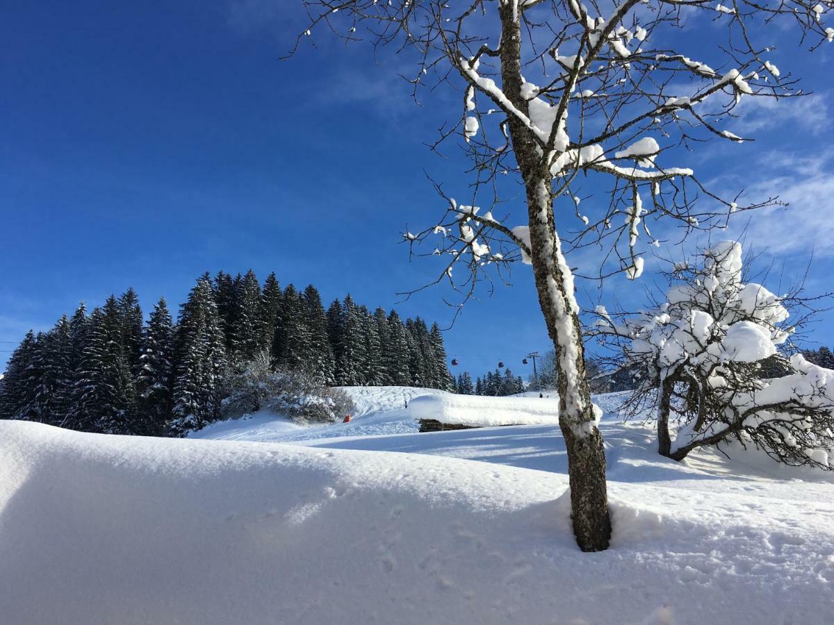 Beim Rohrer Lägenhet Kirchberg in Tirol Exteriör bild
