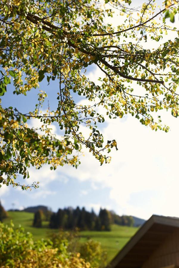 Beim Rohrer Lägenhet Kirchberg in Tirol Exteriör bild